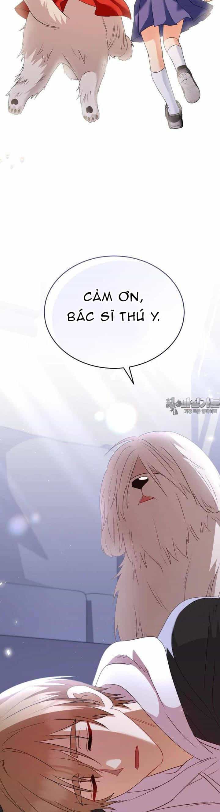 Xin Chào! Bác Sĩ Thú Y - Chương 55 - ảnh 45