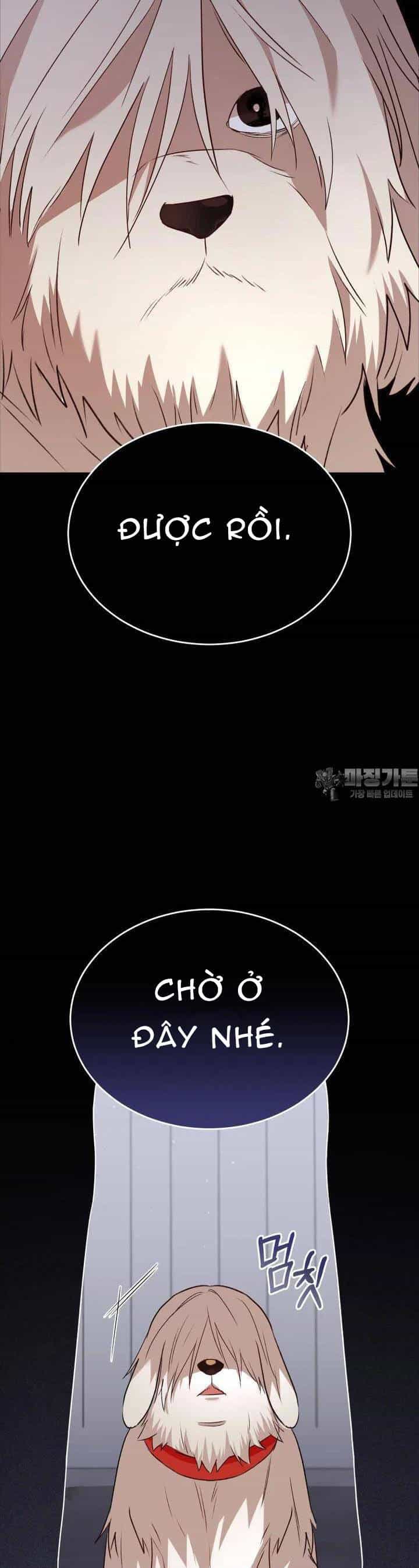 Xin Chào! Bác Sĩ Thú Y - Chương 55 - ảnh 7