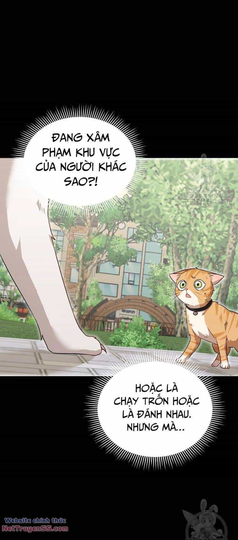 Xin Chào! Bác Sĩ Thú Y - Chương 7 - ảnh 25