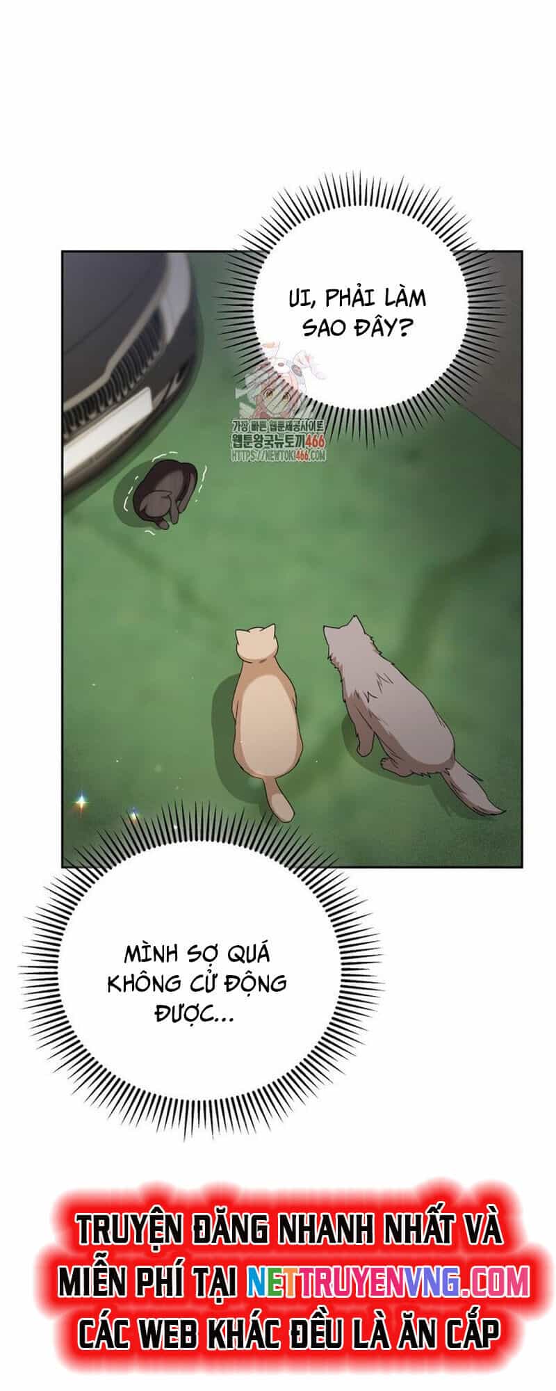 Xin Chào! Bác Sĩ Thú Y - Chương 77 - ảnh 2