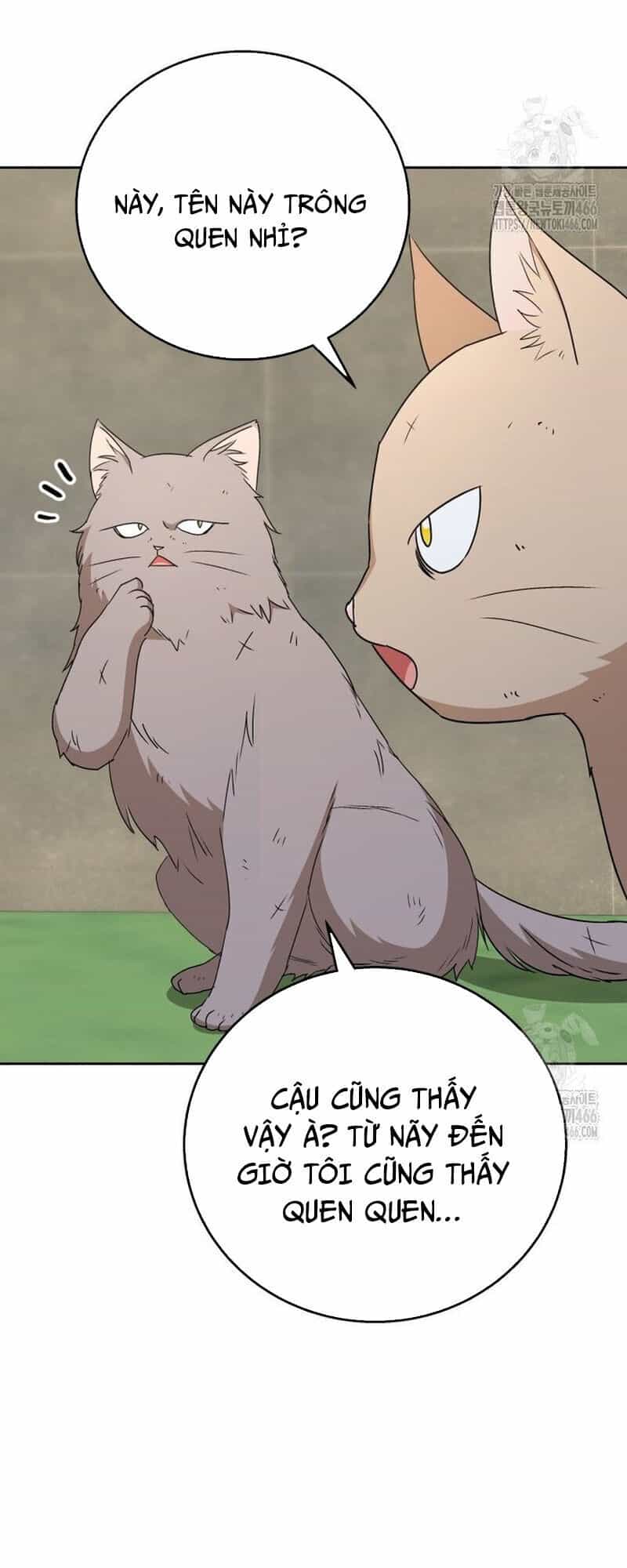 Xin Chào! Bác Sĩ Thú Y - Chương 77 - ảnh 3