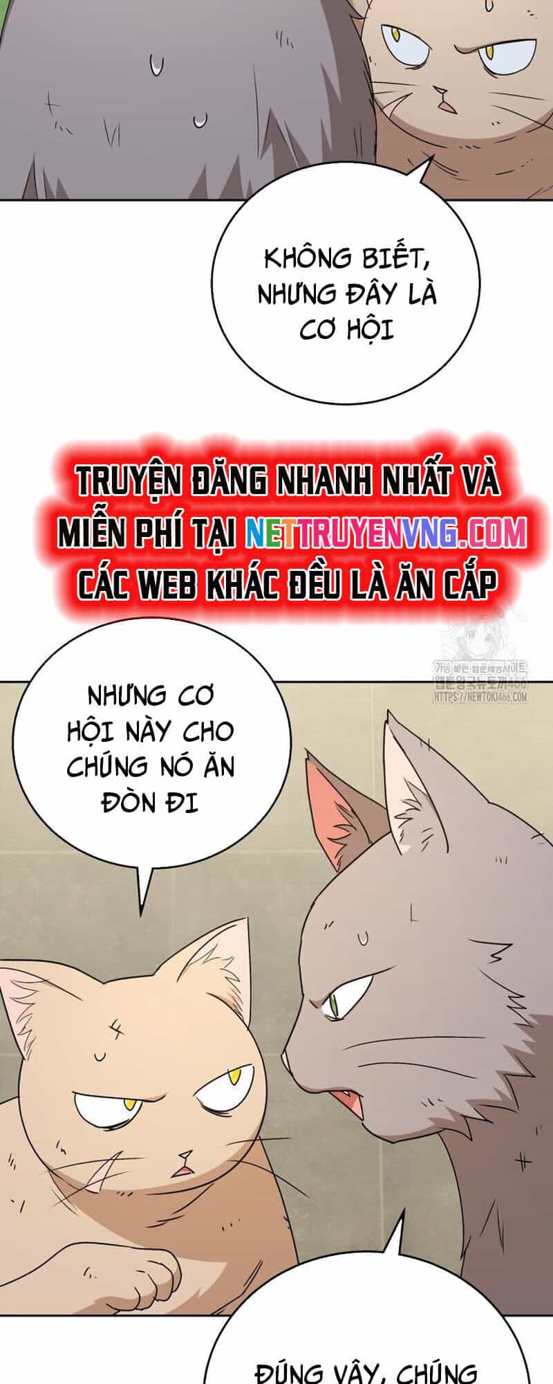 Xin Chào! Bác Sĩ Thú Y - Chương 77 - ảnh 42