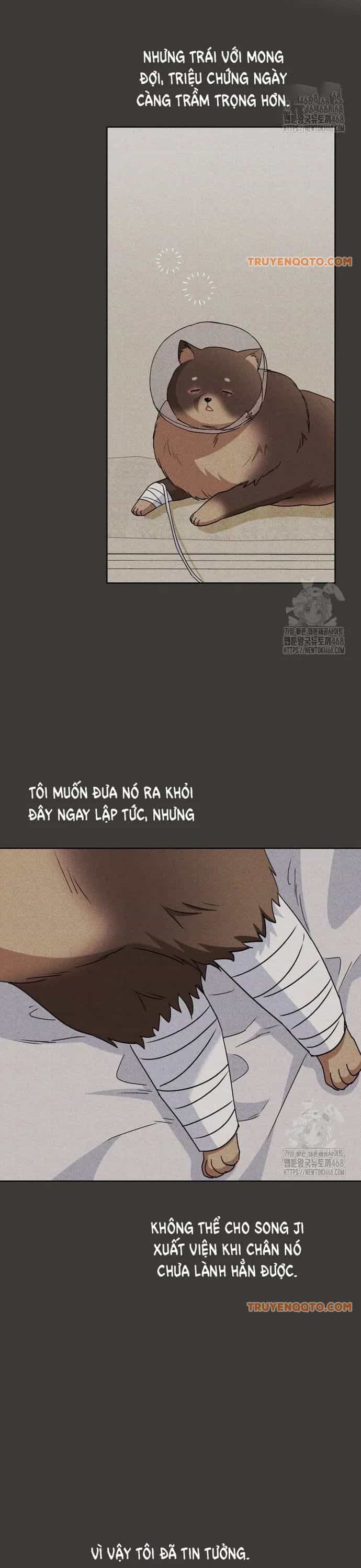 Xin Chào! Bác Sĩ Thú Y - Chương 87 - ảnh 15