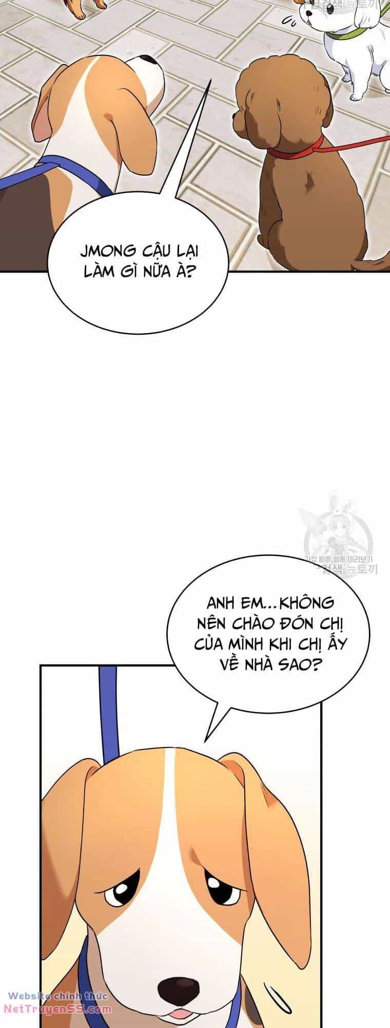 Xin Chào! Bác Sĩ Thú Y - Chương 9 - ảnh 24