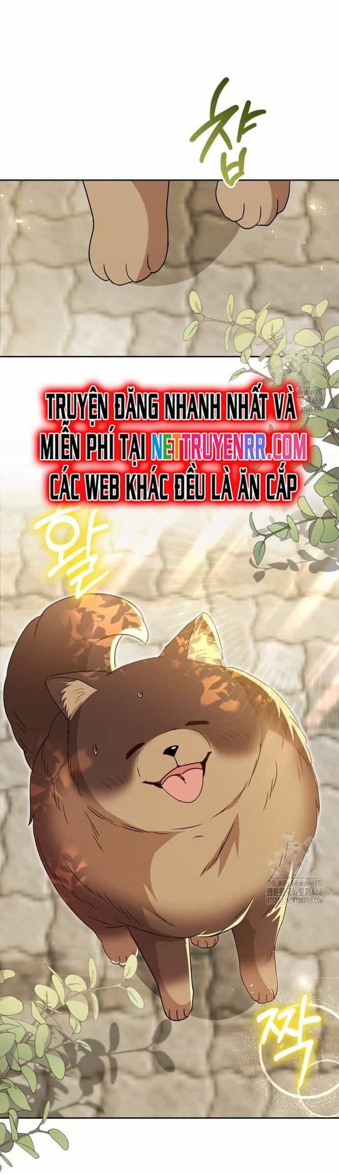 Xin Chào! Bác Sĩ Thú Y - Chương 91 - ảnh 29