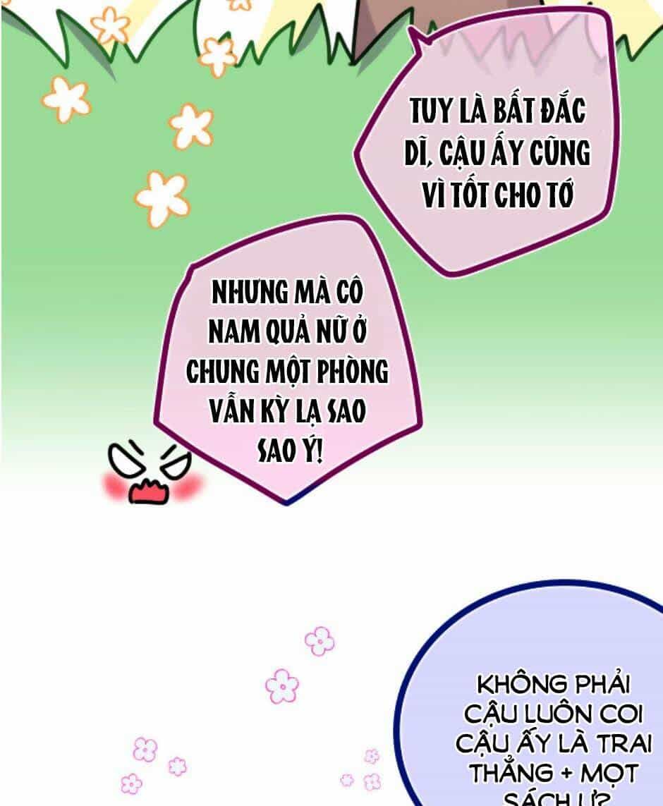 Xin Chào, Bạn Học Thụ Động - Chương 17 - ảnh 23