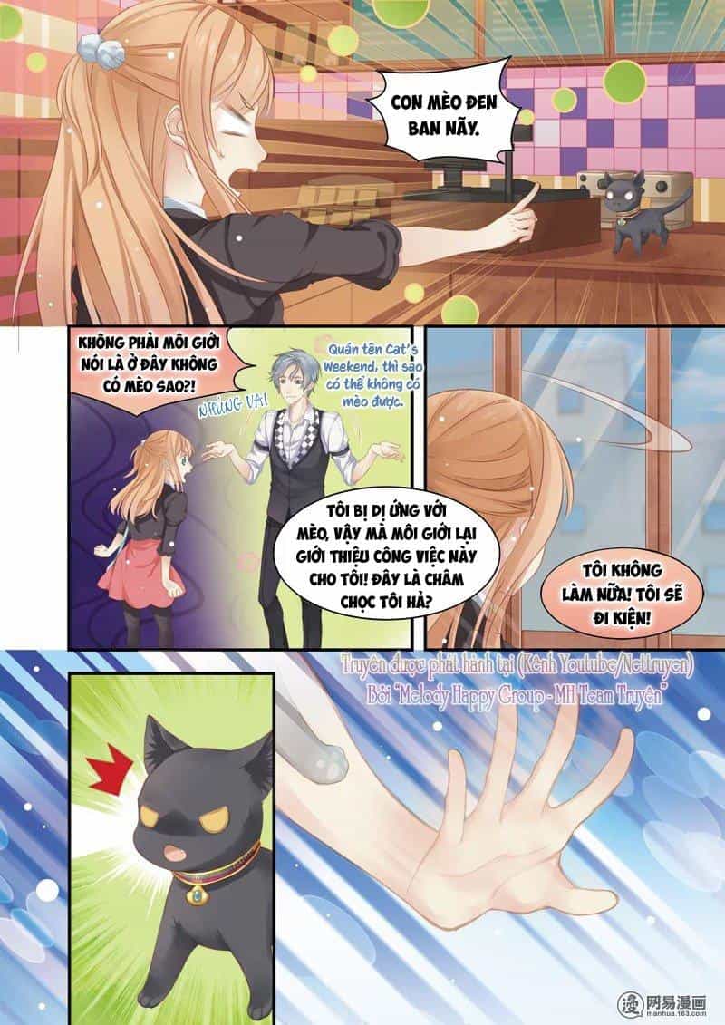 Xin Chào! Coffee Cat's - Chương 1 - ảnh 8