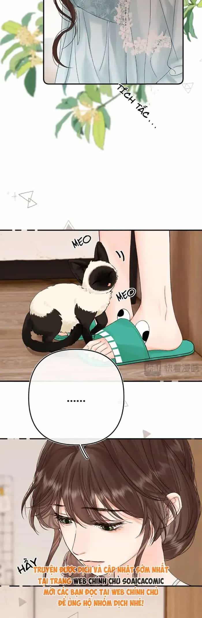 Xin Hãy Chăm Sóc Nhiều Hơn - Chương 35 - ảnh 3
