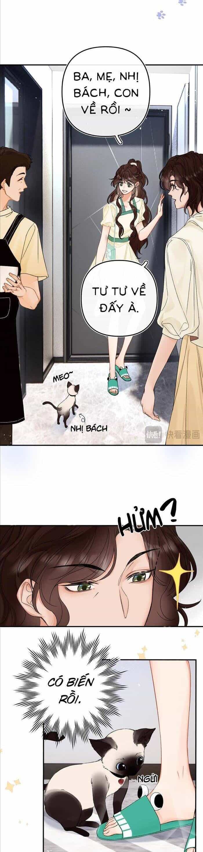 Xin Hãy Chăm Sóc Nhiều Hơn - Chương 5 - ảnh 5