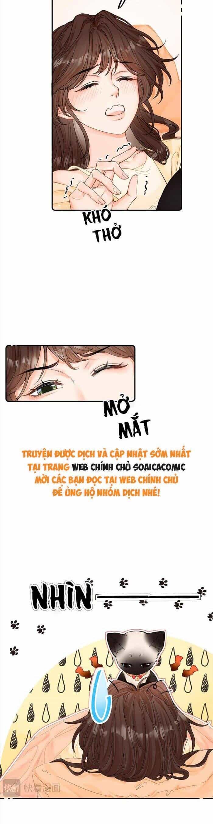 Xin Hãy Chăm Sóc Nhiều Hơn - Chương 8 - ảnh 18