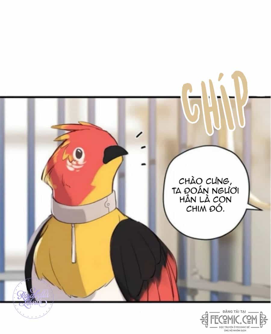 Xin Hãy Cứ Khóc Thái Tử - Chương 1 - ảnh 53
