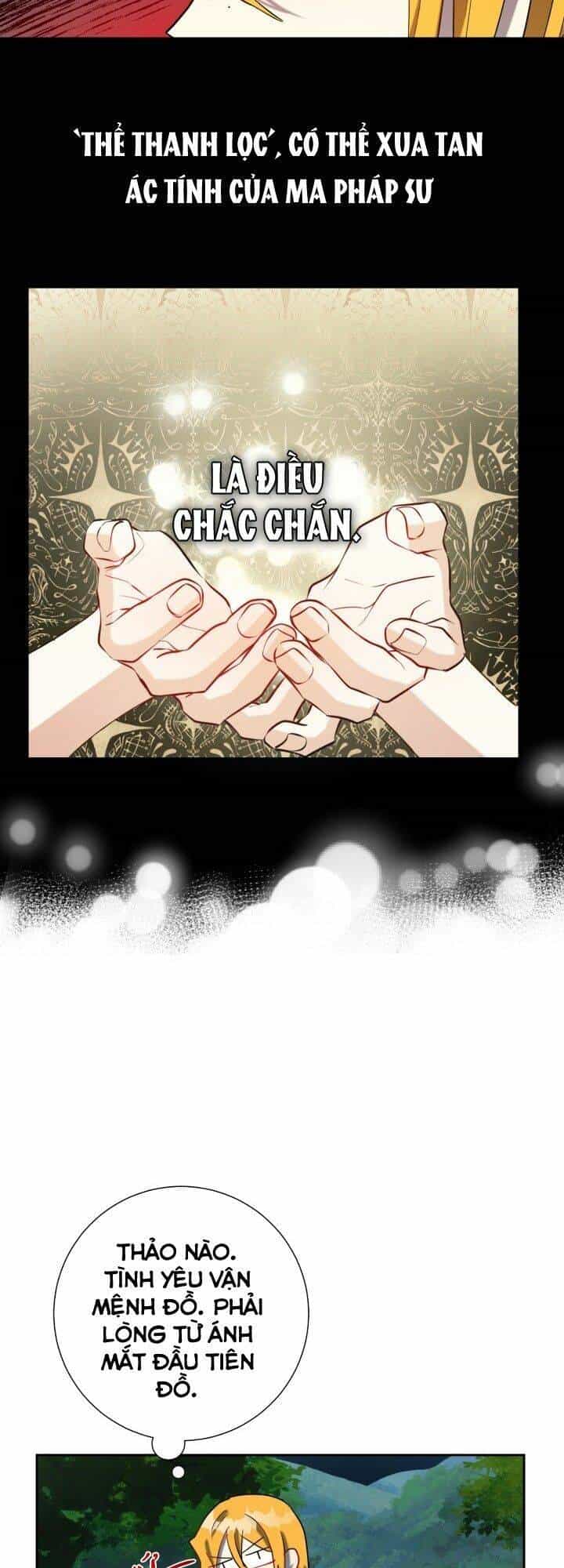 Xin Ngài Đừng Ăn Tôi. - Chương 26 - ảnh 40