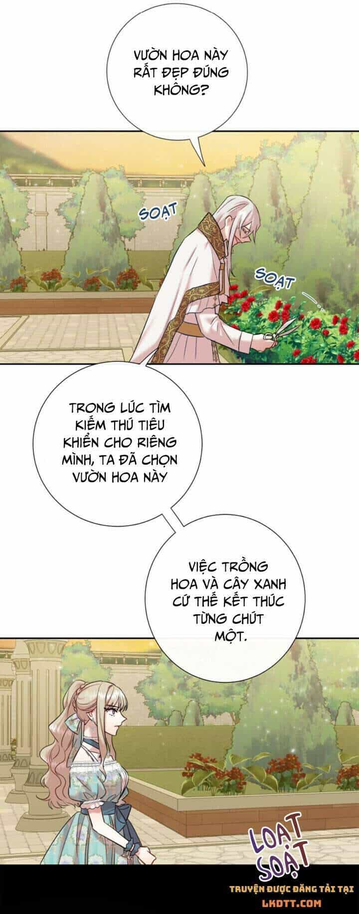 Xin Ngài Đừng Ăn Tôi. - Chương 47 - ảnh 21