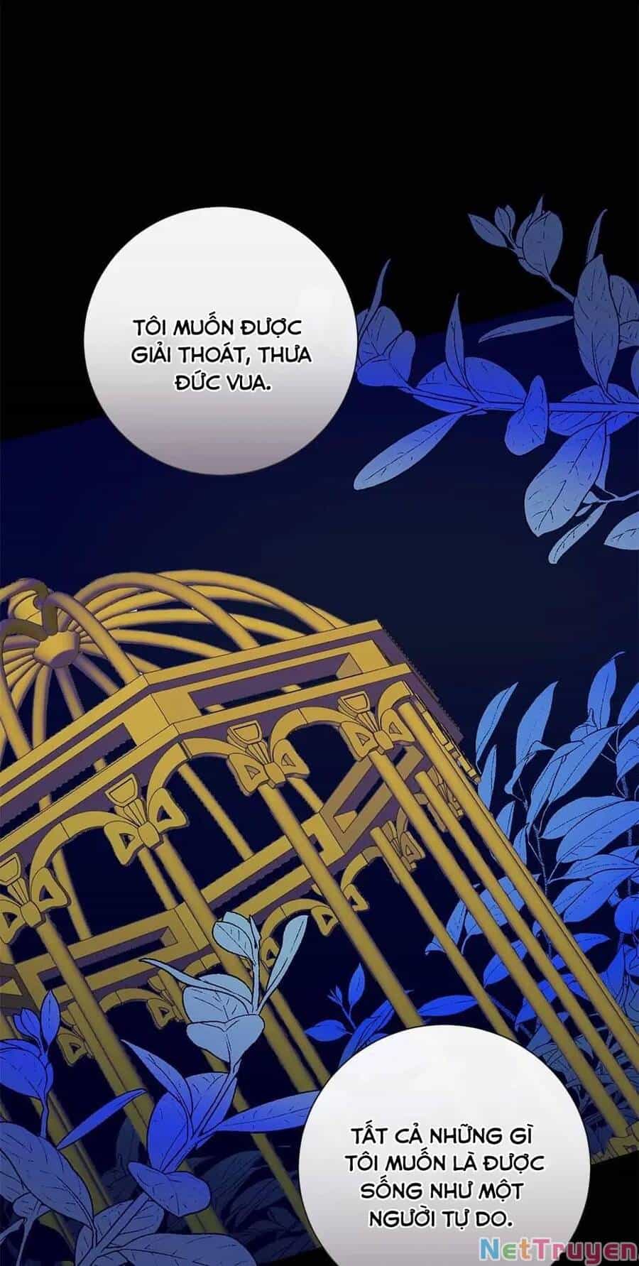 Xin Ngài Đừng Ăn Tôi. - Chương 79 - ảnh 51