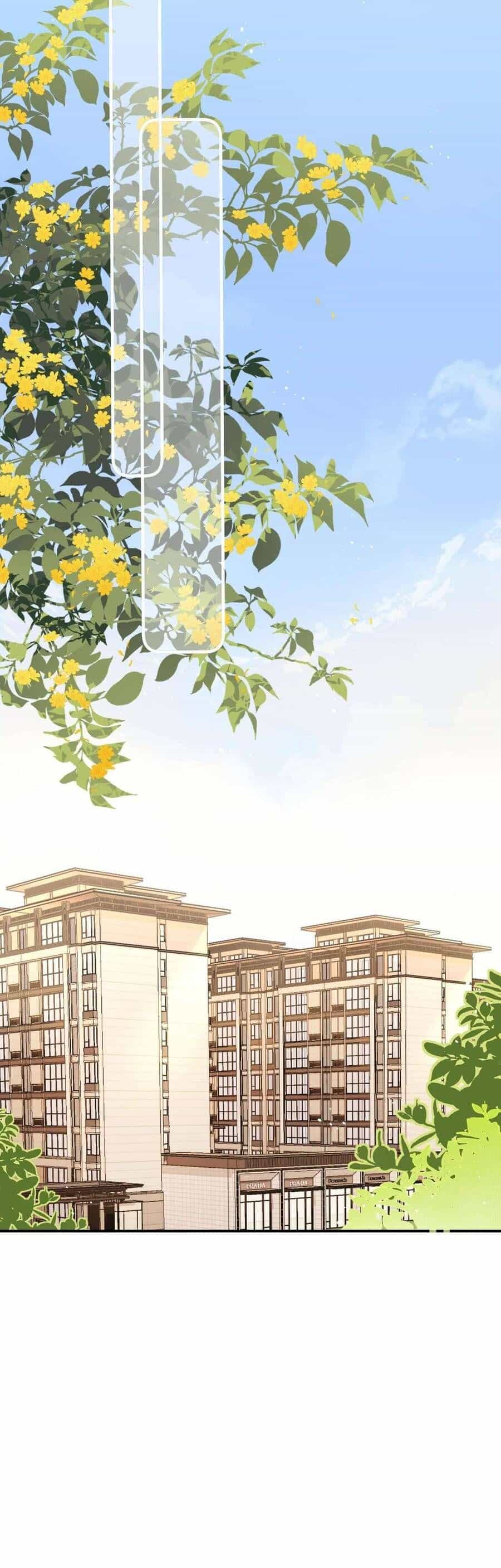 Xin Người Hãy Chăm Sóc Cho Em - Chương 8 - ảnh 14