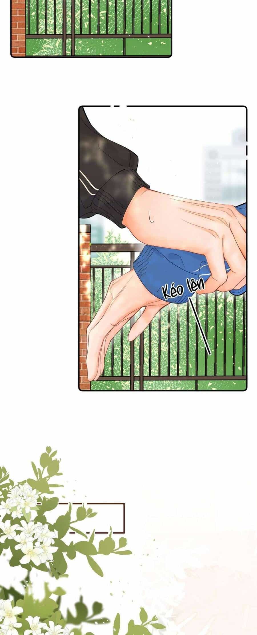 Xin Người Hãy Chăm Sóc Cho Em - Chương 8 - ảnh 9