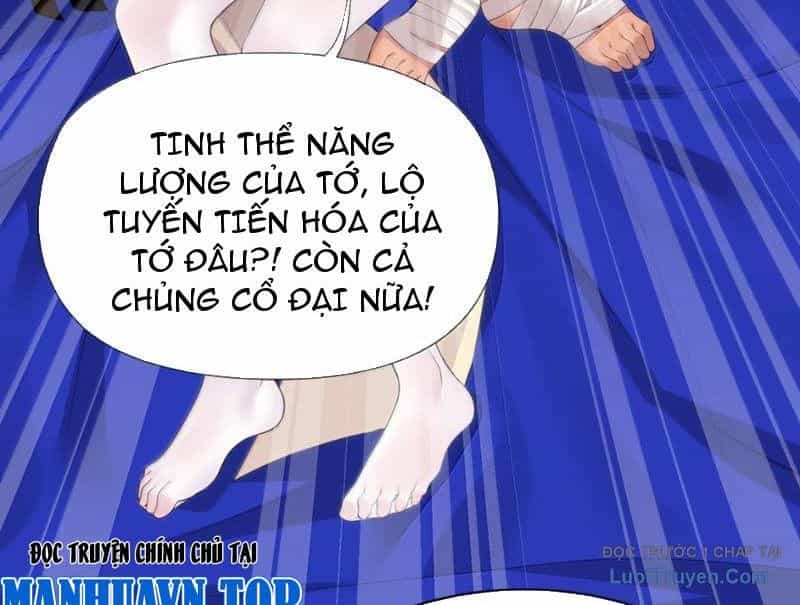 Xong Rồi, Ta Bị Sủng Thú Của Mình Bao Vây Rồi! - Chương 24 - ảnh 37