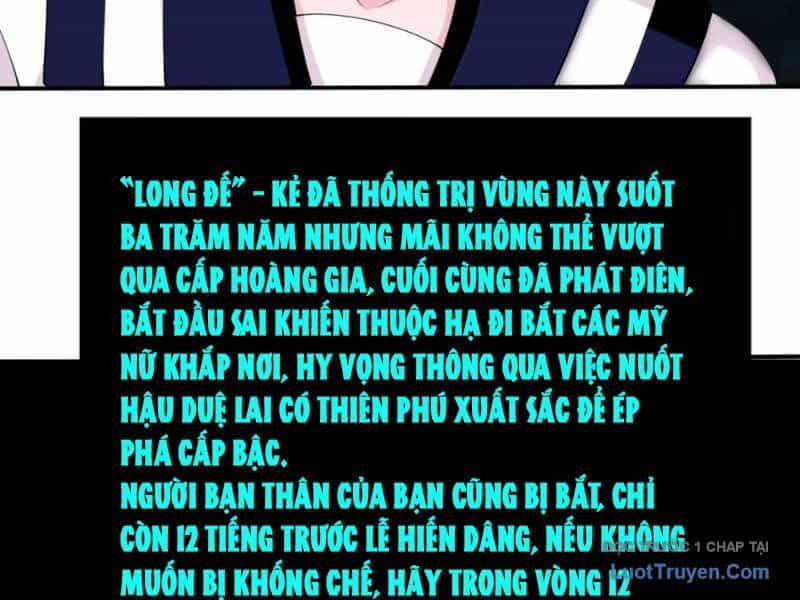 Xong Rồi, Ta Bị Sủng Thú Của Mình Bao Vây Rồi! - Chương 28 - ảnh 51