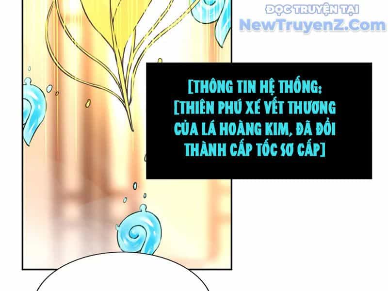 Xong Rồi, Ta Bị Sủng Thú Của Mình Bao Vây Rồi! - Chương 4 - ảnh 80