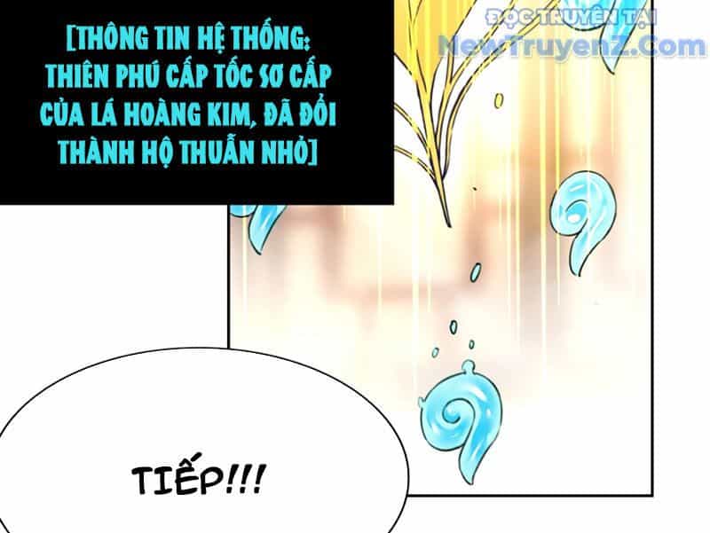 Xong Rồi, Ta Bị Sủng Thú Của Mình Bao Vây Rồi! - Chương 4 - ảnh 82
