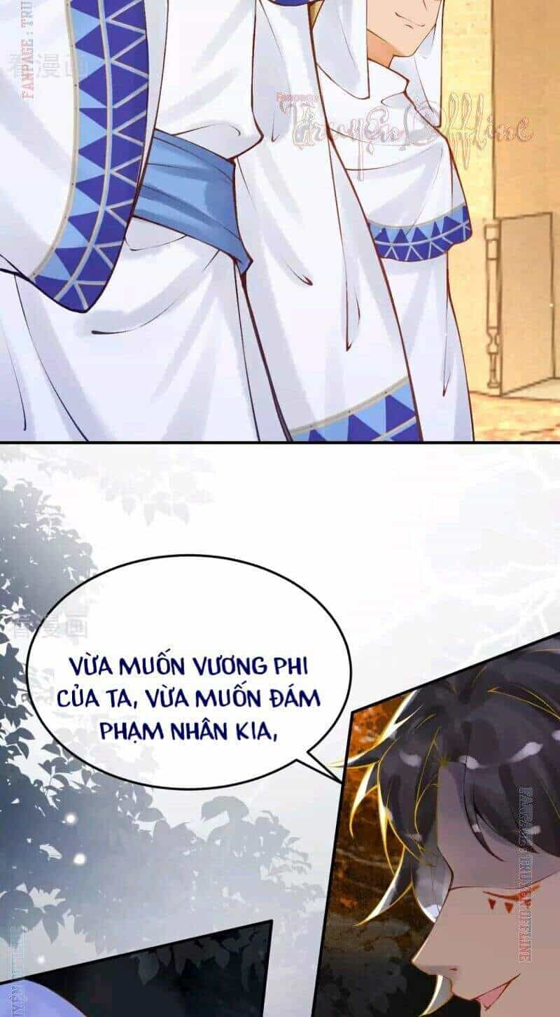 Xuyên Đến Ai Cập : Trở Thành Cô Dâu Của Vương - Chương 16 - ảnh 29