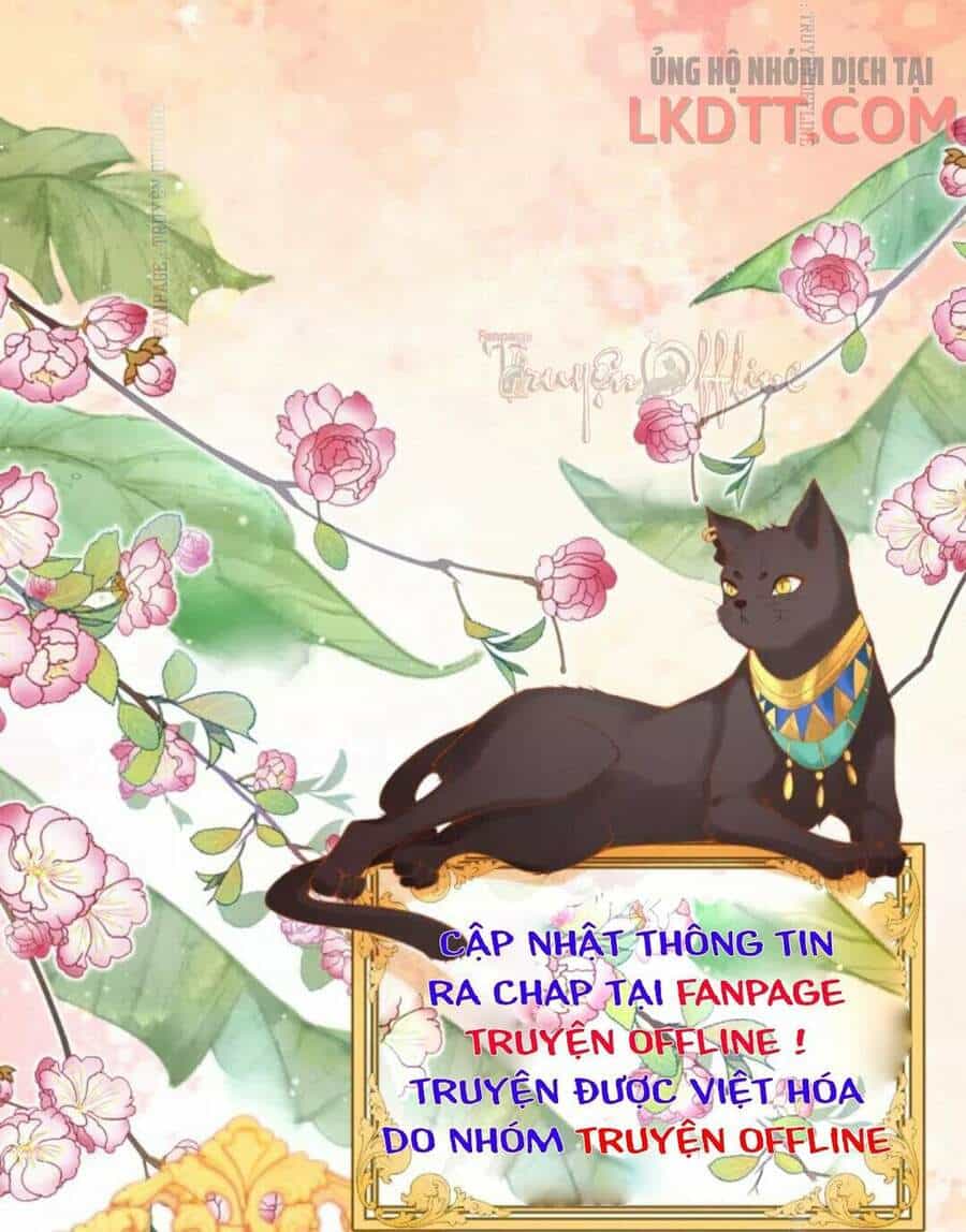 Xuyên Đến Ai Cập : Trở Thành Cô Dâu Của Vương - Chương 16 - ảnh 37