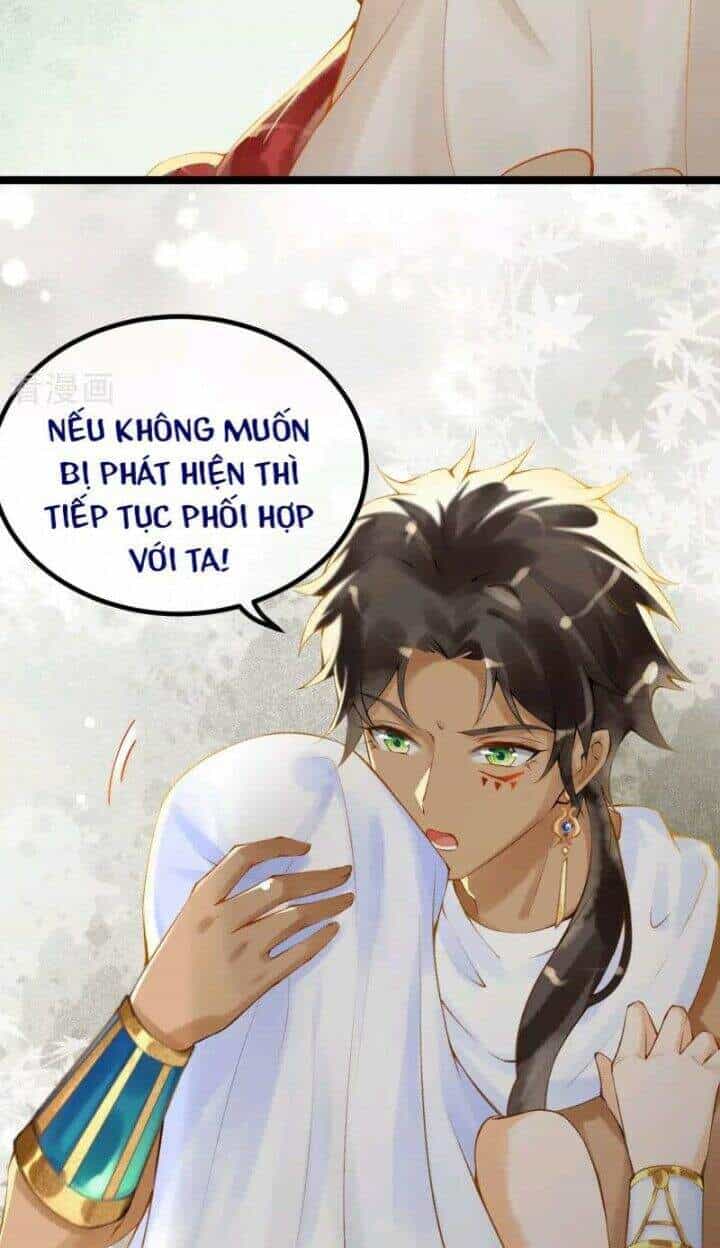 Xuyên Đến Ai Cập : Trở Thành Cô Dâu Của Vương - Chương 2 - ảnh 4