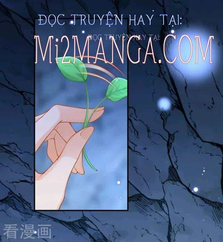 Xuyên Đến Ai Cập : Trở Thành Cô Dâu Của Vương - Chương 44 - ảnh 15