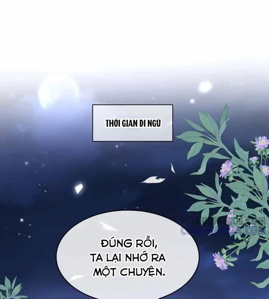 Xuyên Không Rồi, Cần Quái Gì Thể Thống - Chương 9 - ảnh 4