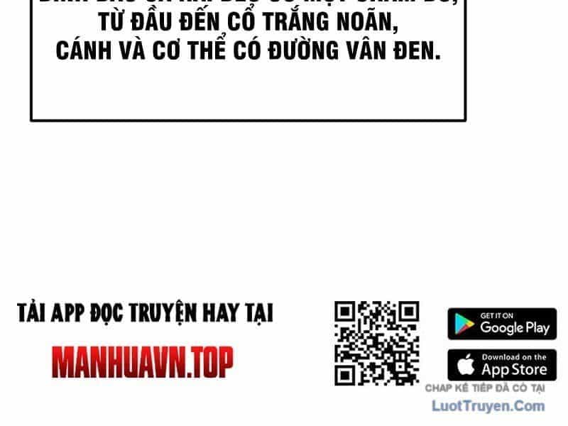 Xuyên Không Tới Tu Tiên Giới Làm Trù Thần - Chương 16 - ảnh 16