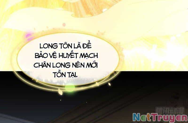 Xuyên Không Vào Thế Giới Nữ Cường - Chương 331 - ảnh 4