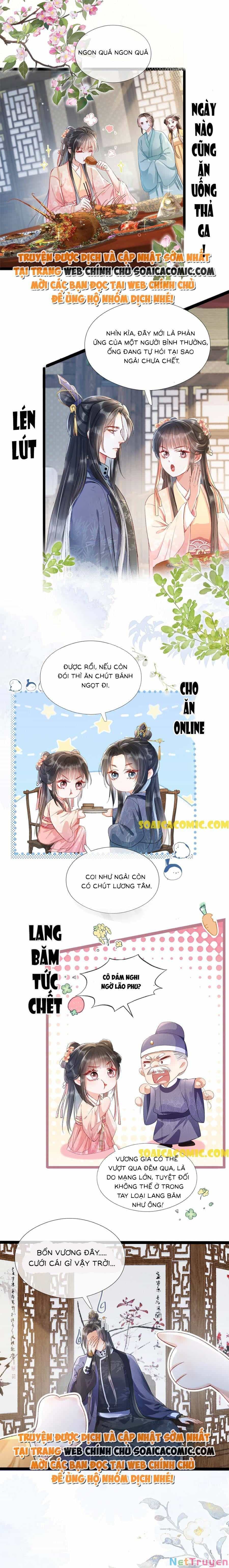 Xuyên Không Về Gả Cho Vương Gia Ốm Yếu - Chương 0 - ảnh 4