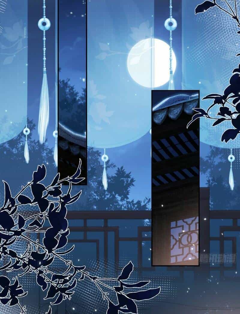 Xuyên Không Về Gả Cho Vương Gia Ốm Yếu - Chương 14 - ảnh 28