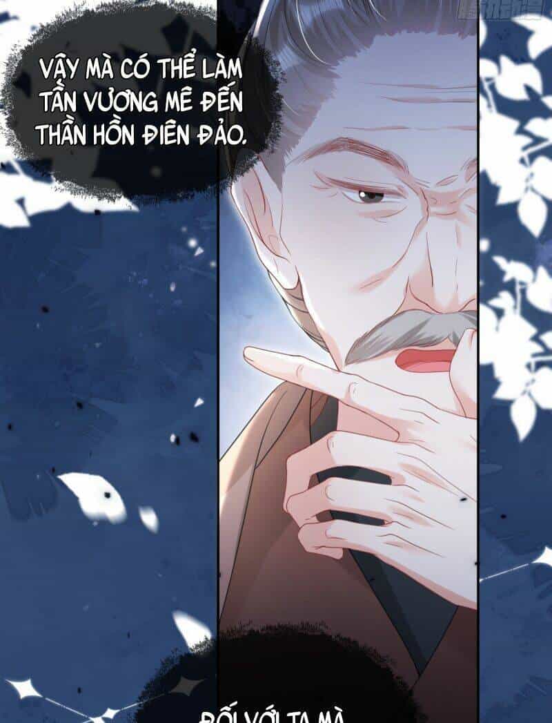 Xuyên Không Về Gả Cho Vương Gia Ốm Yếu - Chương 14 - ảnh 30