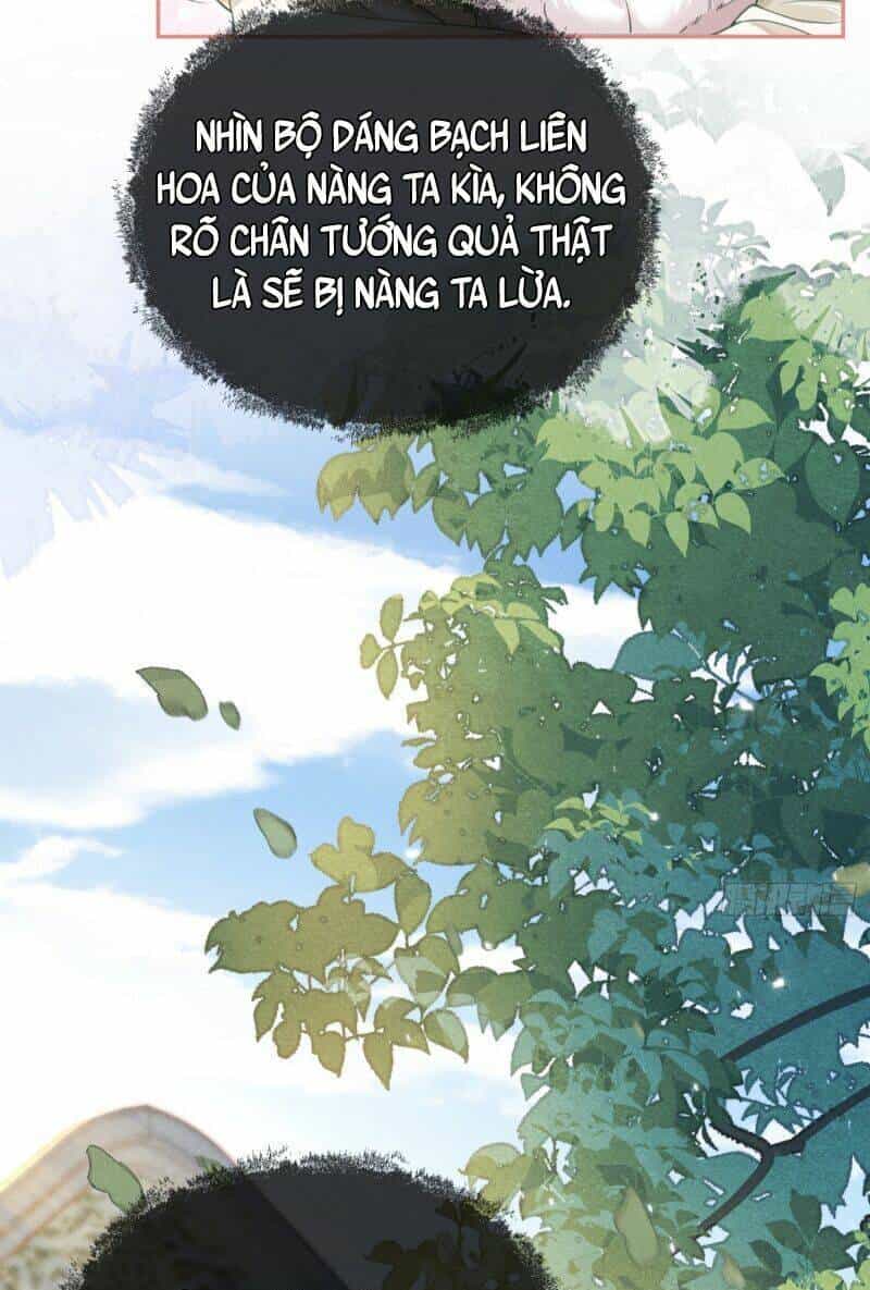 Xuyên Không Về Gả Cho Vương Gia Ốm Yếu - Chương 15 - ảnh 9