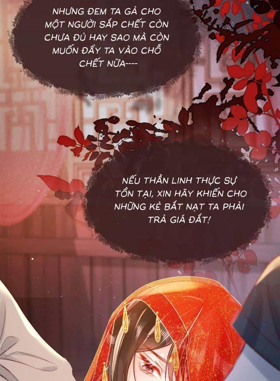 Xuyên Không Về Gả Cho Vương Gia Ốm Yếu - Chương 1 - ảnh 26