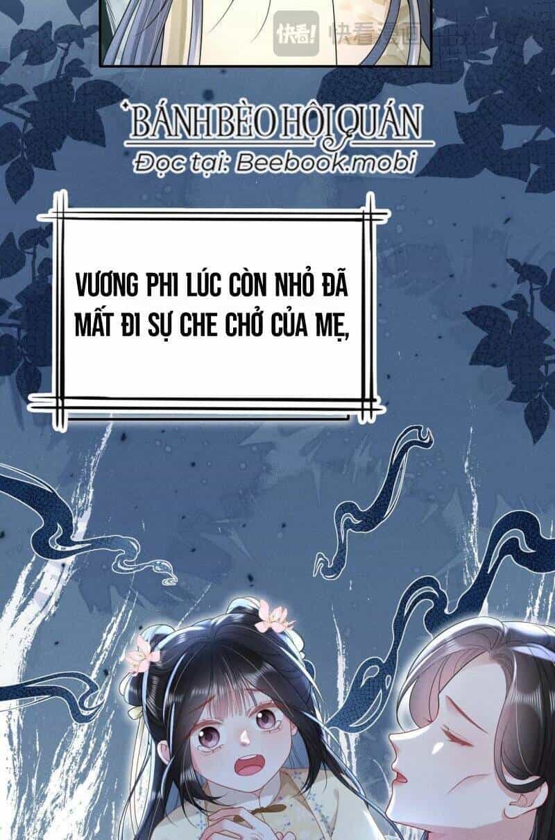 Xuyên Không Về Gả Cho Vương Gia Ốm Yếu - Chương 19 - ảnh 13