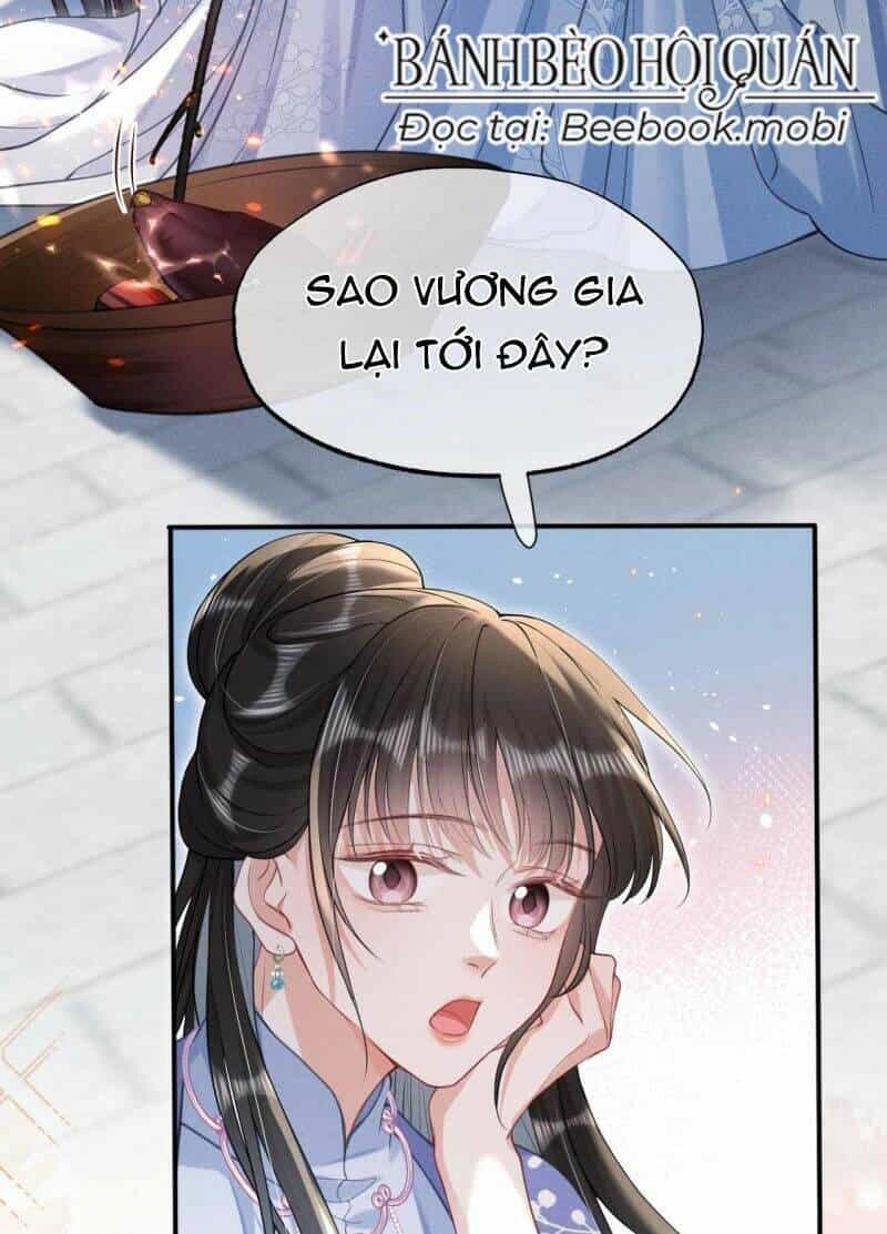Xuyên Không Về Gả Cho Vương Gia Ốm Yếu - Chương 20 - ảnh 13