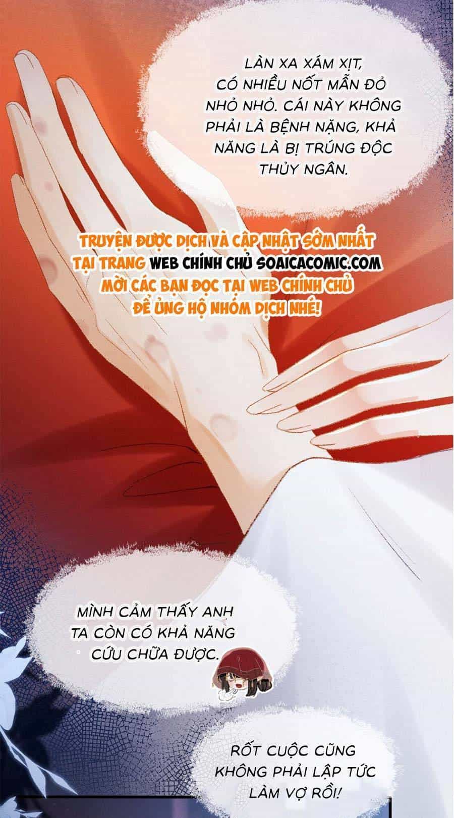 Xuyên Không Về Gả Cho Vương Gia Ốm Yếu - Chương 2 - ảnh 23