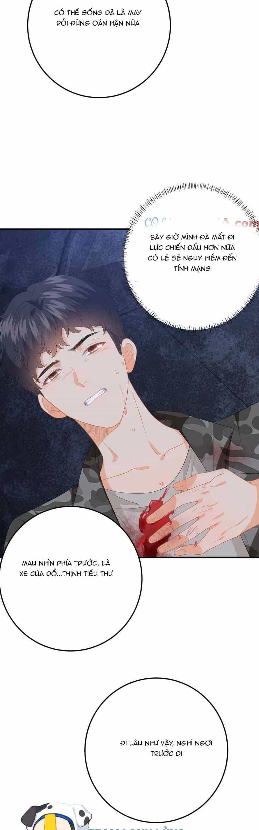 Xuyên Nhanh : Nhân Vật Phản Diện Quá Nuông Chiều Ta - Chương 176 - ảnh 11