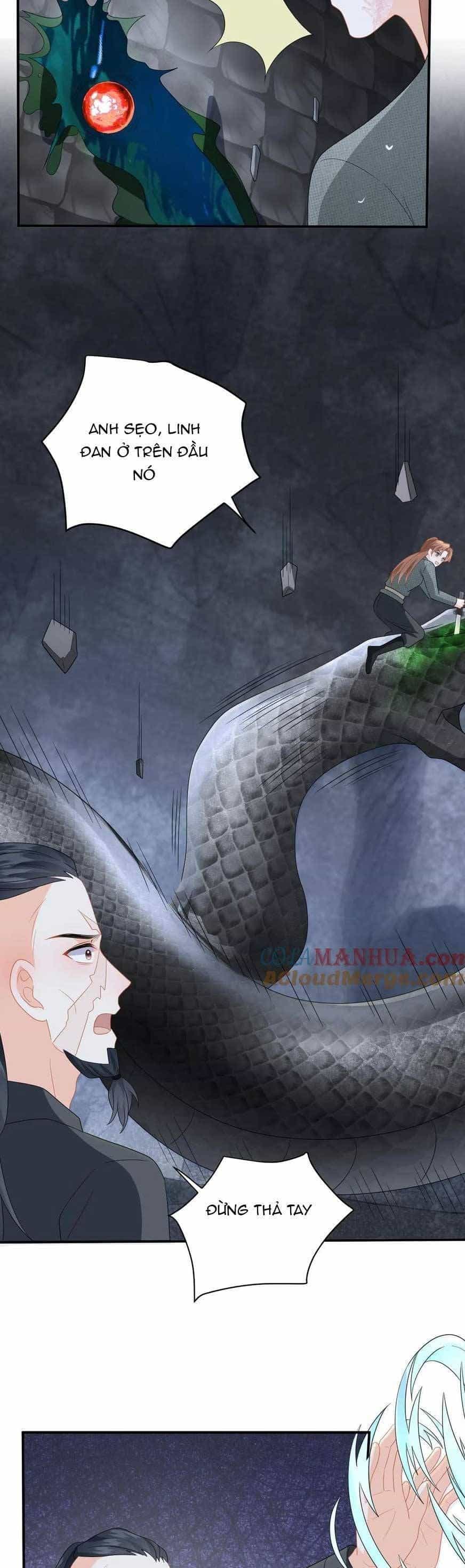 Xuyên Nhanh: Phản Diện Quá Sủng Quá Mê Người1 - Chương 195 - ảnh 15