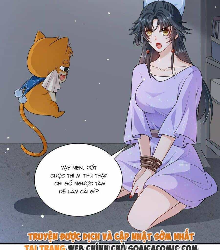 Xuyên Nhanh: Tra Nam Này Không Khó Trị - Chương 13 - ảnh 24