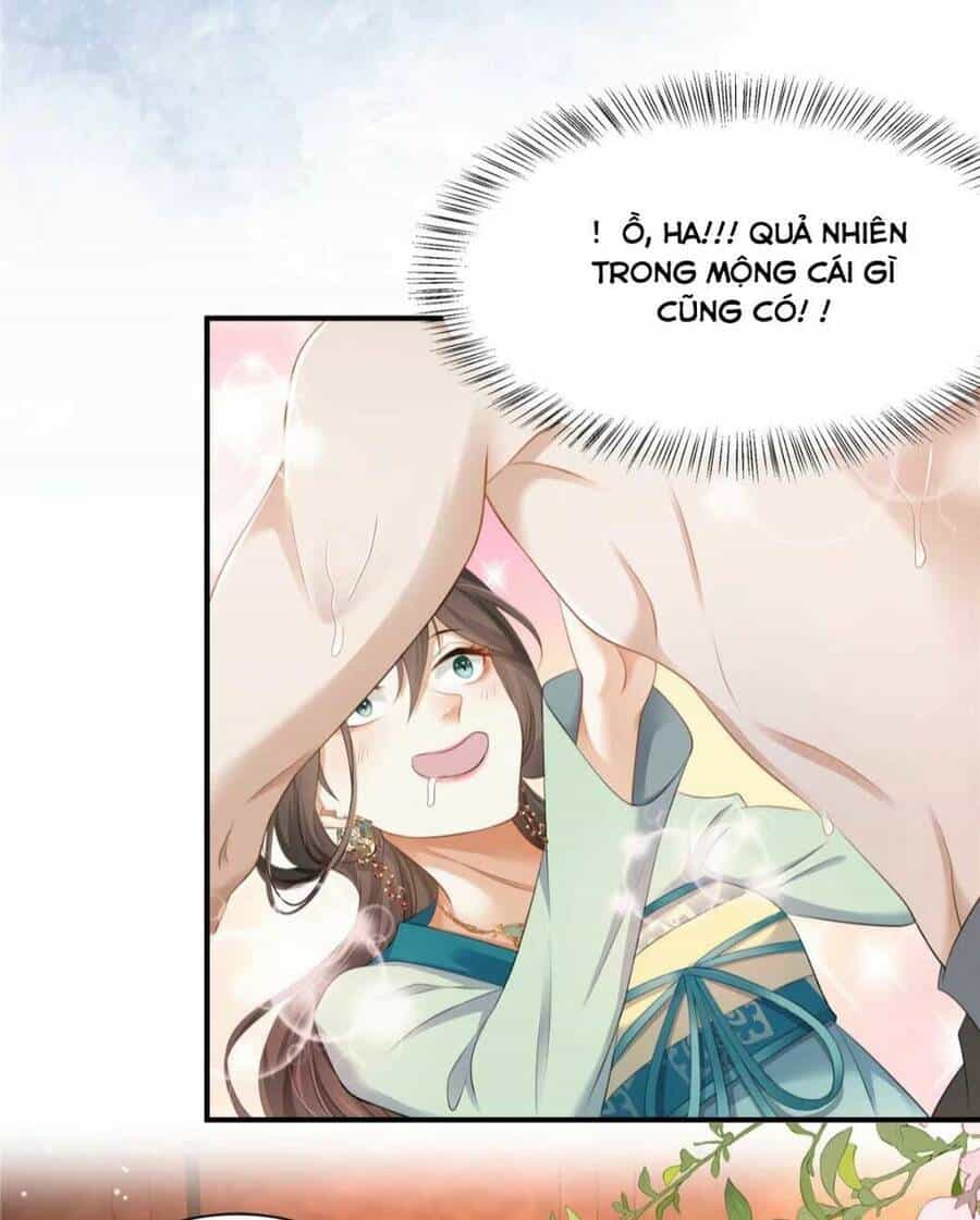 Xuyên Qua Làm Vương Phi Xinh Đẹp Của Vương Gia - Chương 2 - ảnh 13