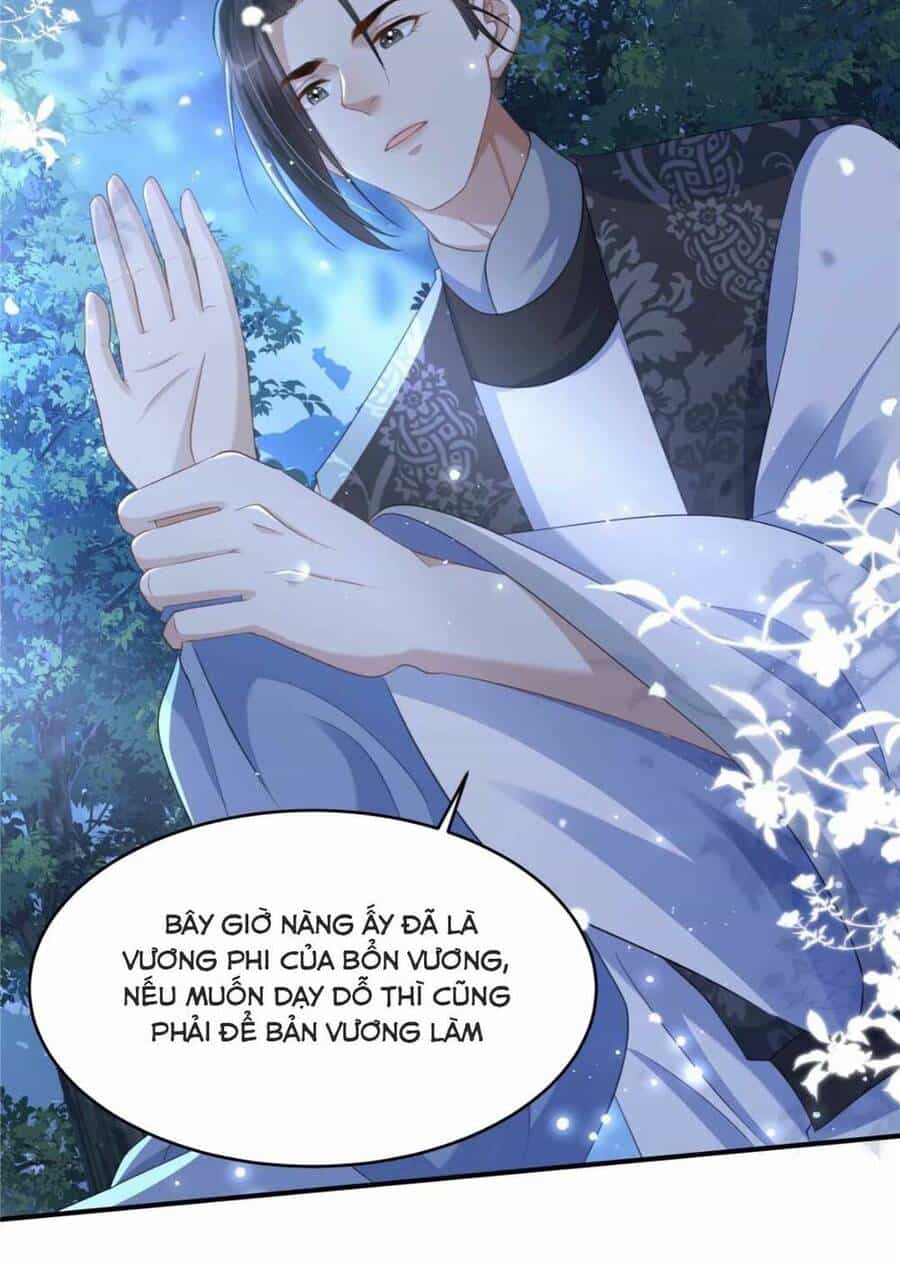 Xuyên Qua Làm Vương Phi Xinh Đẹp Của Vương Gia - Chương 22 - ảnh 11