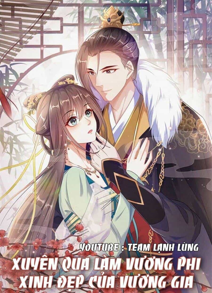 Xuyên Qua Làm Vương Phi Xinh Đẹp Của Vương Gia - Chương 3 - ảnh 2