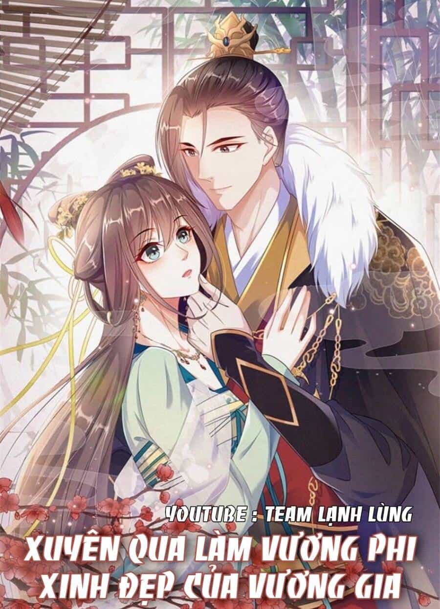 Xuyên Qua Làm Vương Phi Xinh Đẹp Của Vương Gia - Chương 30 - ảnh 3