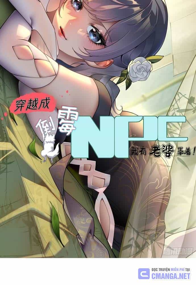 Xuyên Qua Thành Npc Xui Xẻo: Ta Có Lão Bà Che Chở - Chương 21 - ảnh 3