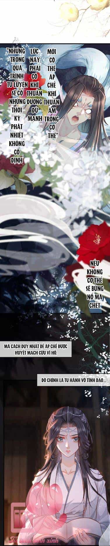 Xuyên Sách: Nghịch Đồ Lại Muốn Ức Hiếp Sư Phụ - Chương 4 - ảnh 14