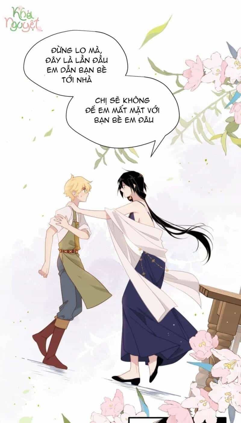 Xuyên Thành Phù Thủy Nuôi Dưỡng Kỵ Sĩ Thánh Điện - Chương 11 - ảnh 20