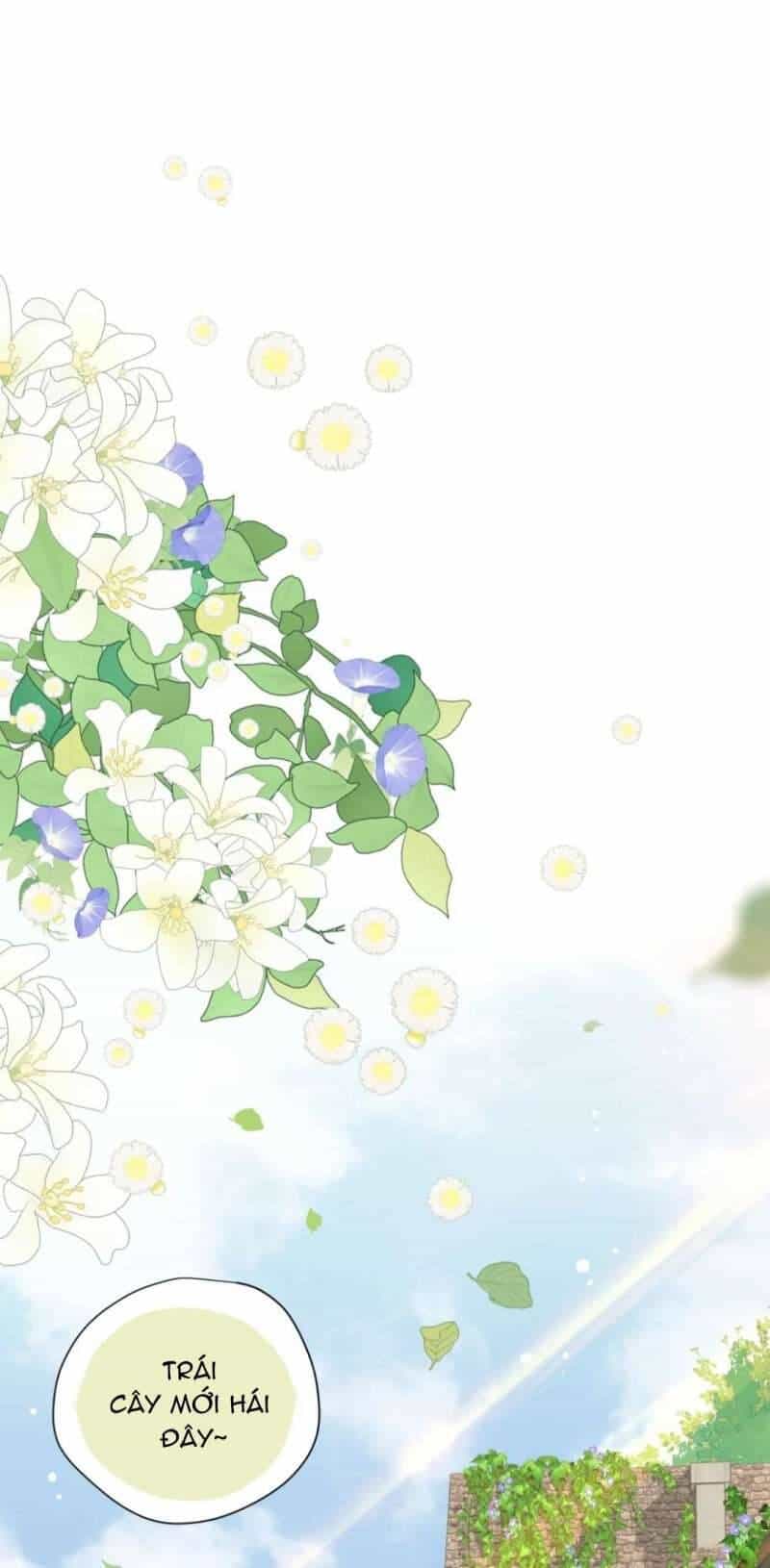 Xuyên Thành Phù Thủy Nuôi Dưỡng Kỵ Sĩ Thánh Điện - Chương 18 - ảnh 3